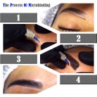 Professional Eyebrow Permanent Tattoo Practice Kit Microblading Set Manual Eyebrow Pen Needle Pigment Ink Practise Skin Tool