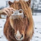 Aluminum Alloy Horse Comb Mane Tail Pulling Comb Metal Horse Grooming Tool 6.5IN / 3.9IN / 3.5IN / 3.2IN