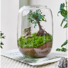 Ecological Bottle Green Moss Micro Landscape Glass Tank