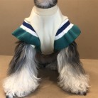 Puppies' Autumn And Winter Padded Sweatshirt