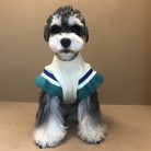 Puppies' Autumn And Winter Padded Sweatshirt