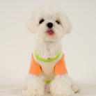 Puppy Dog Colour Clash Home Wear Bottom Shirt Clothes