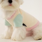 Puppy Dog Colour Clash Home Wear Bottom Shirt Clothes