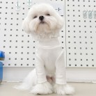 Pet High-neck Slim Bottom Shirt