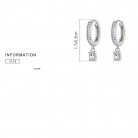 S925 Sterling Silver Fashion Zircon Earrings