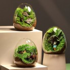 Moss Landscaping Glass Container Micro Landscape Ecological Bottle