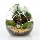 Moss Landscaping Glass Container Micro Landscape Ecological Bottle