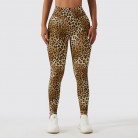 Women's Yoga High-waisted Tights