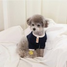 Pet Casual Color Contrast Cat Dog Clothing