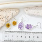 Bohemian Transparent Resin Dry Flower Earrings